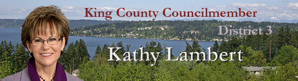 banner image showing Councilmember Kathy Lambert